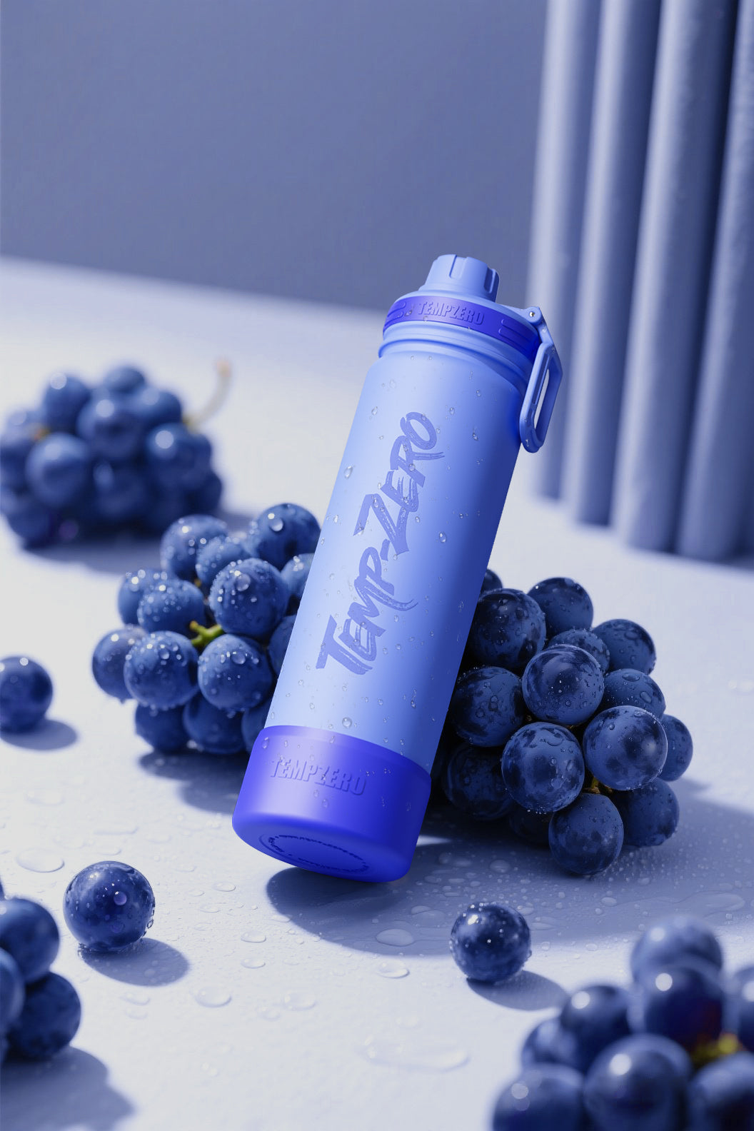 Temp-Zero 22oz Insulated Water Bottle – Grape Purple (Gummy Grape)